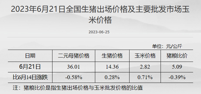 ULU07A%C%JLM{ACWY9F_4XU.png