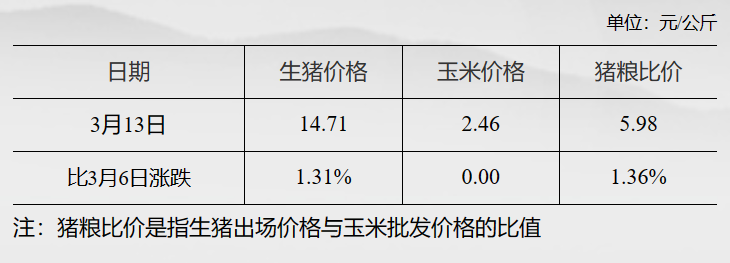 生豬.png