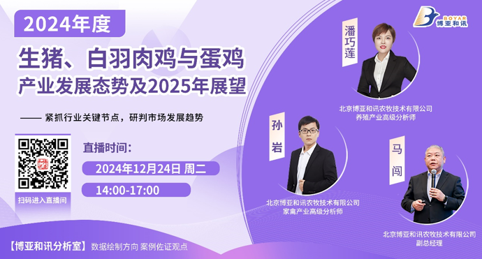 1734515170780157.png image.png