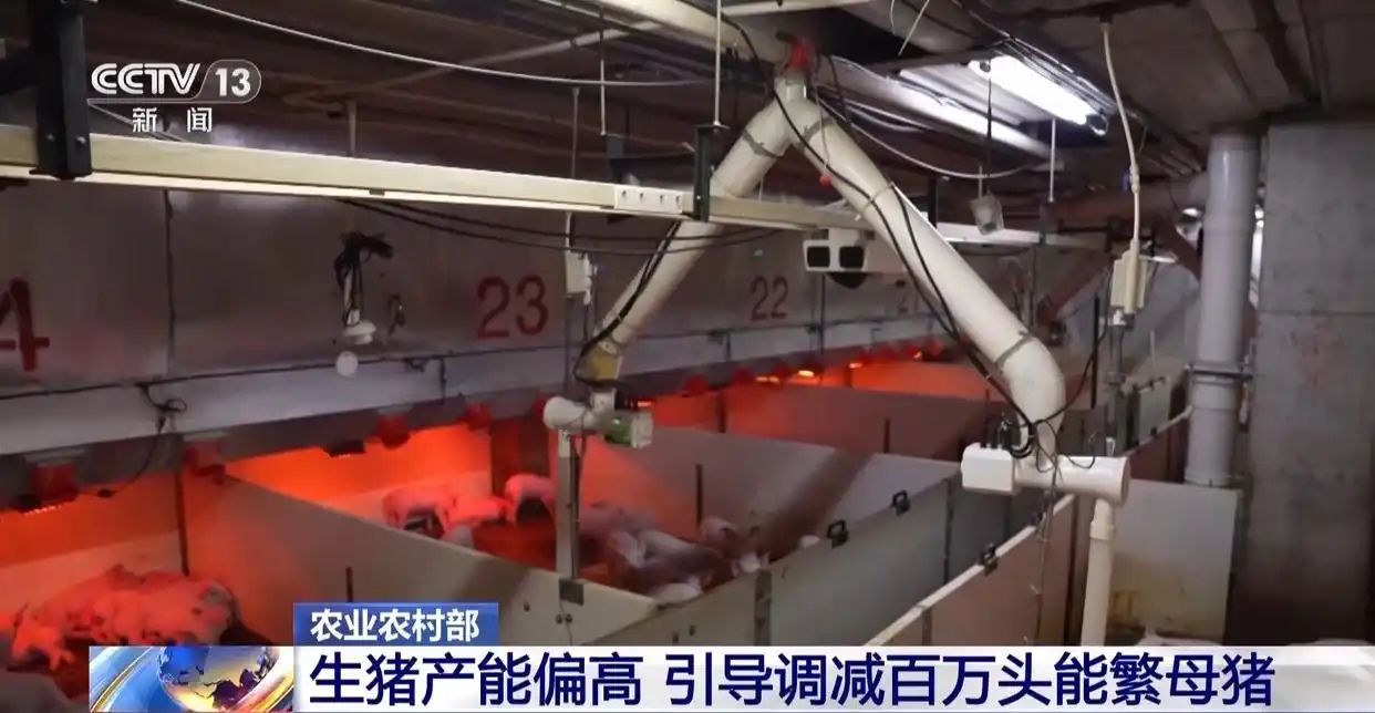 1754872314326630.png 1.png