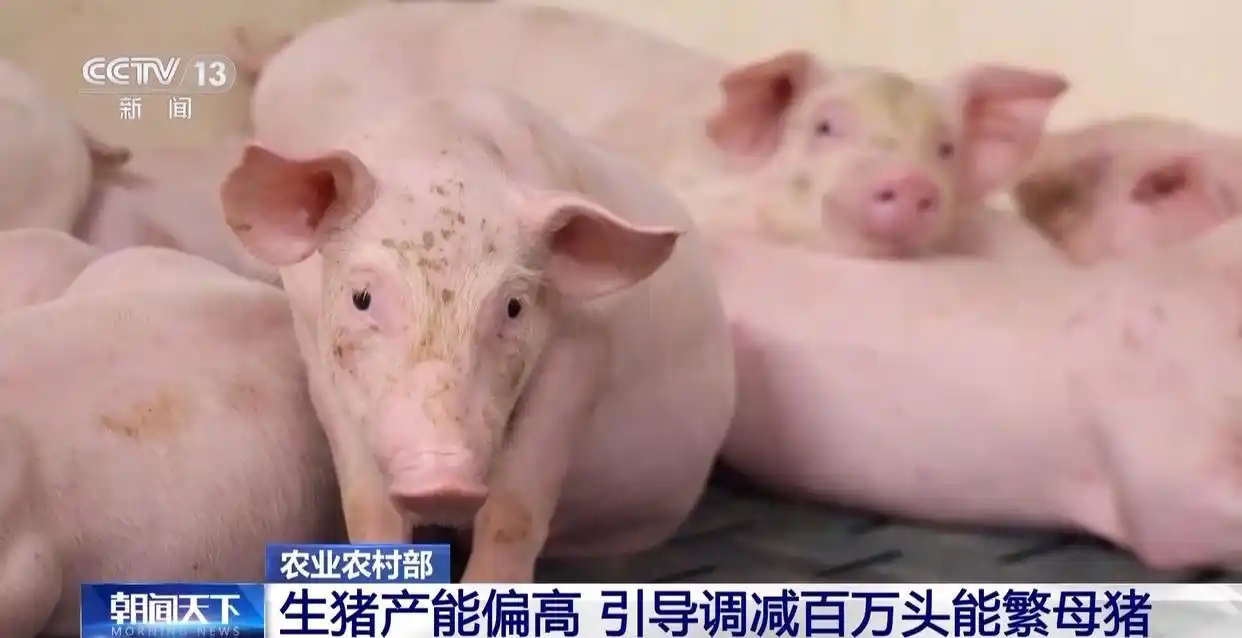 1754872345407759.png 4.png