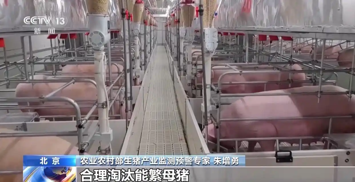 1754872354343518.png 5.png