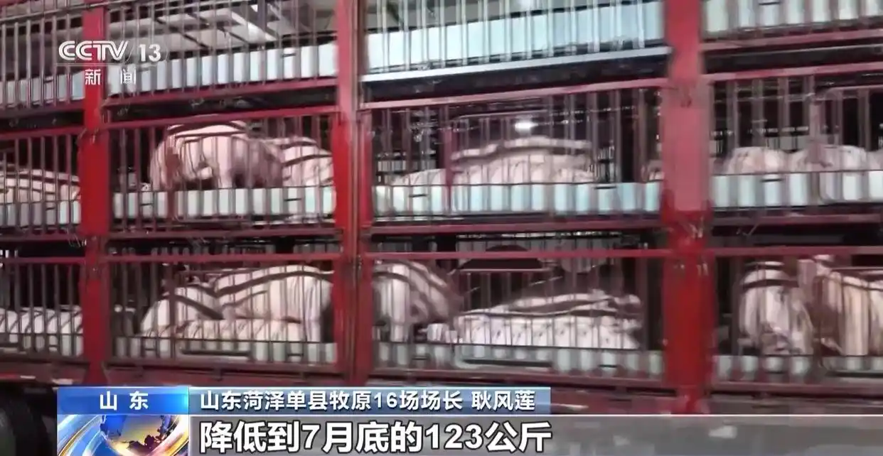 1754872365941023.png 6.png