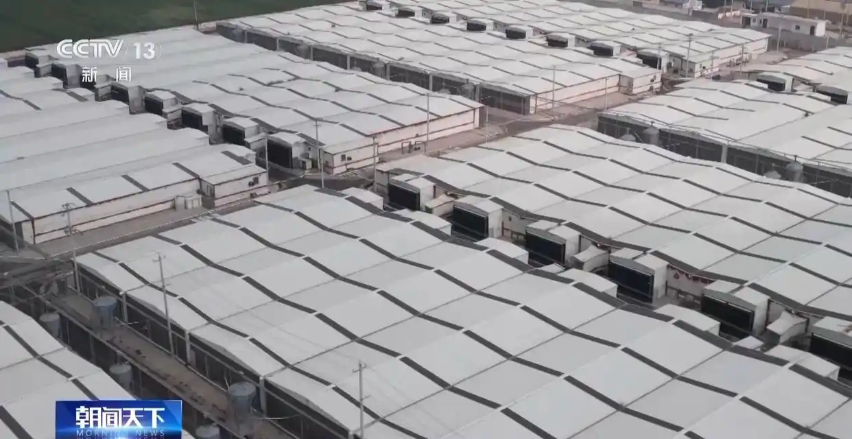 1754872374893556.png 7.png