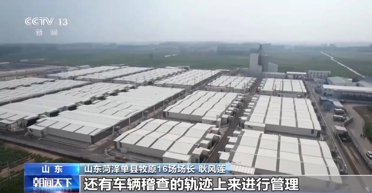 1754872383898968.png 8.png