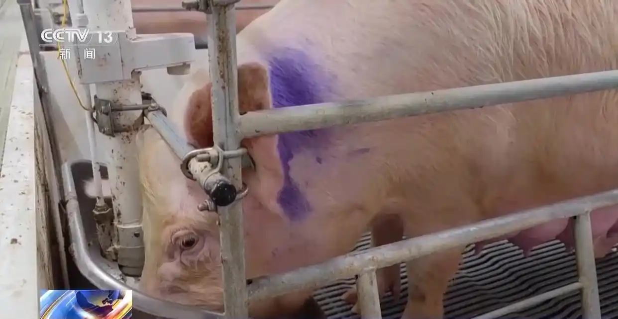 1754872391165981.png 9.png