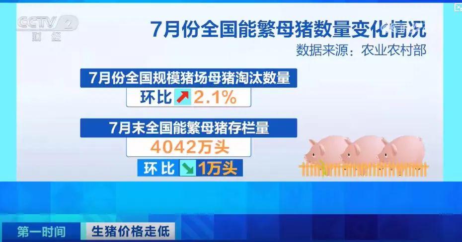 1756082092671667.jpg 640 (1).jpg