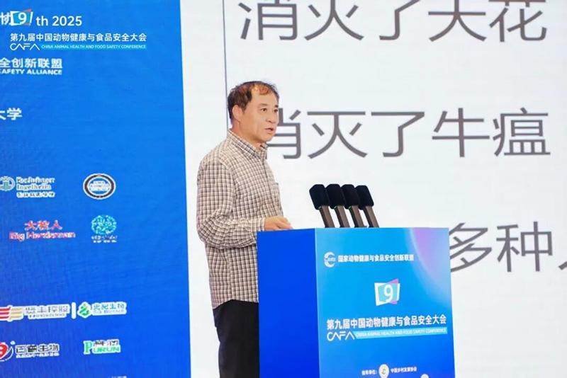 1758768945397066.jpg 017.jpg