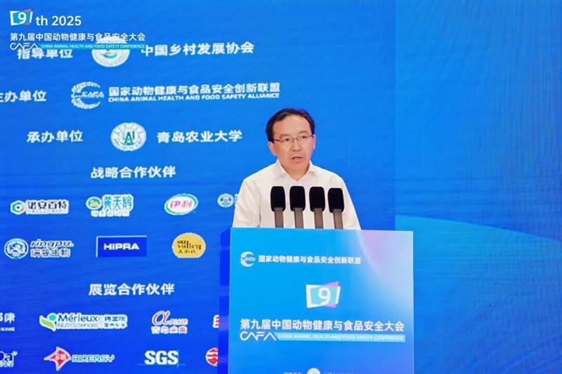 1758769023835046.jpg 009.jpg