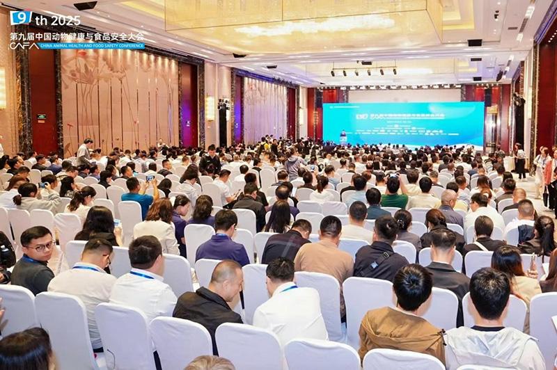 1758769055844115.jpg 006.jpg