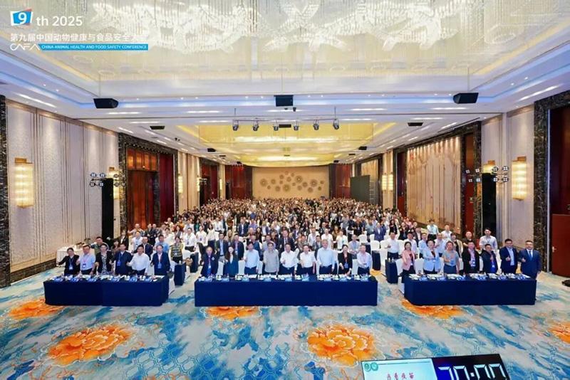 1758769064305254.jpg 005.jpg