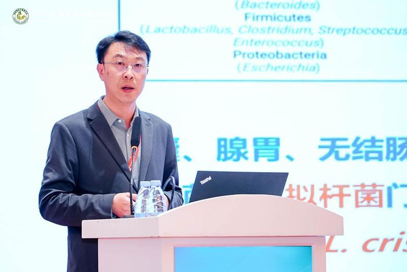 1760841794766867.jpg 017.jpg