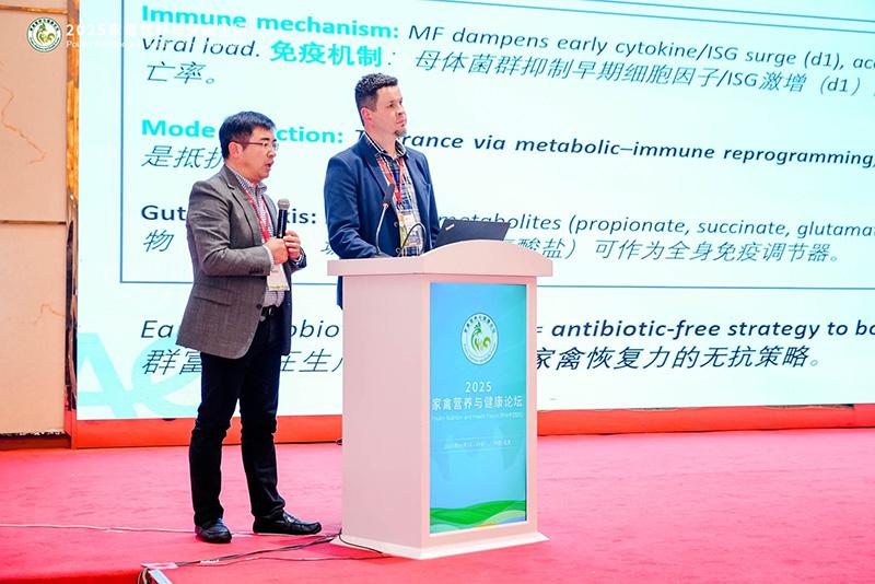 1760841905326943.jpg 016.jpg