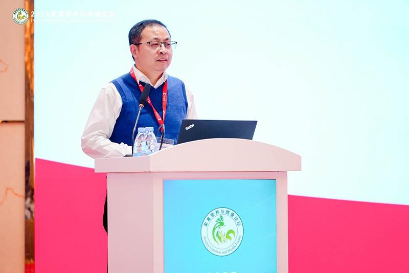 1760841997573291.jpg 011.jpg