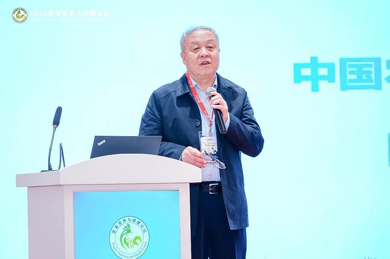 1760842018837953.jpg 010.jpg