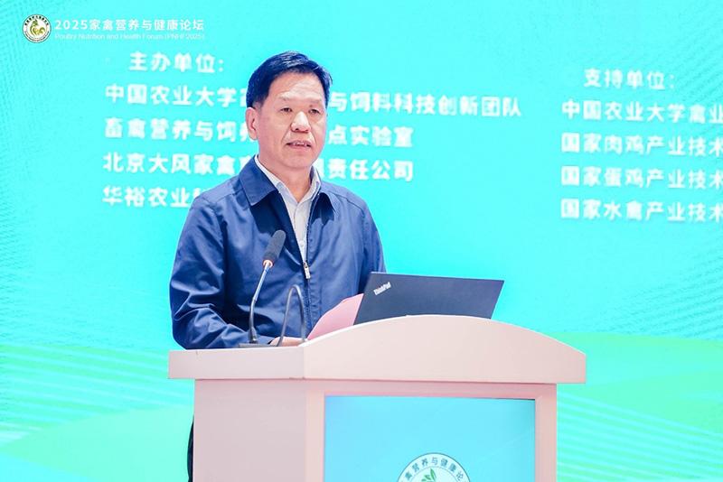 1760842265621174.jpg 006.jpg