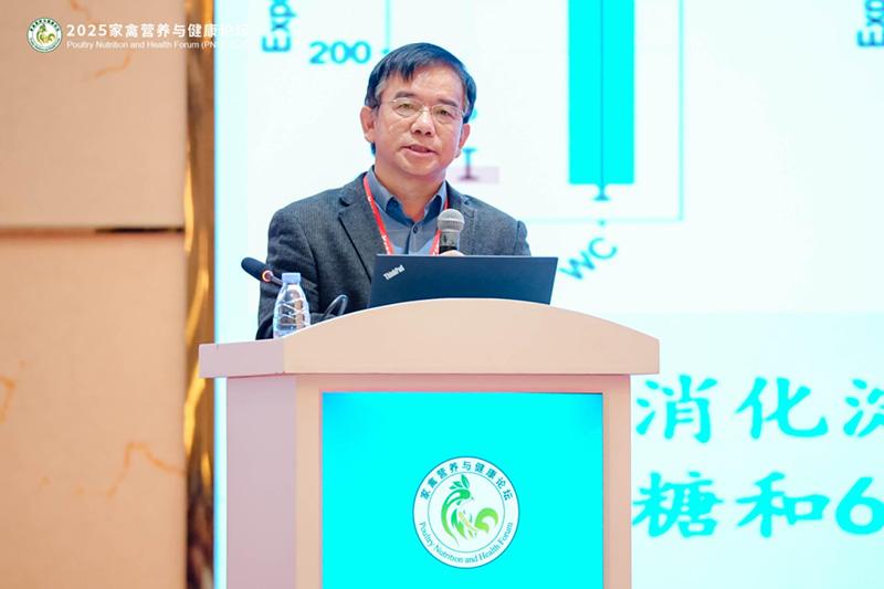 1761093079964845.jpg 29.jpg