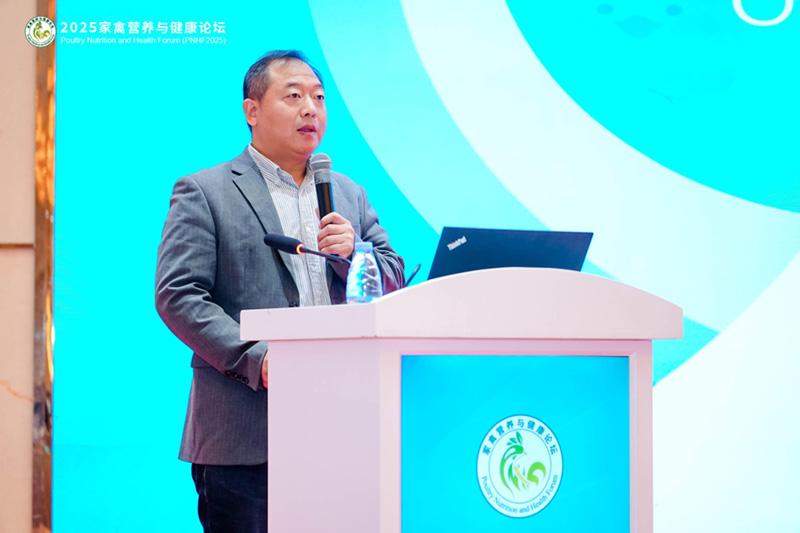 1761093160875048.jpg 19.jpg