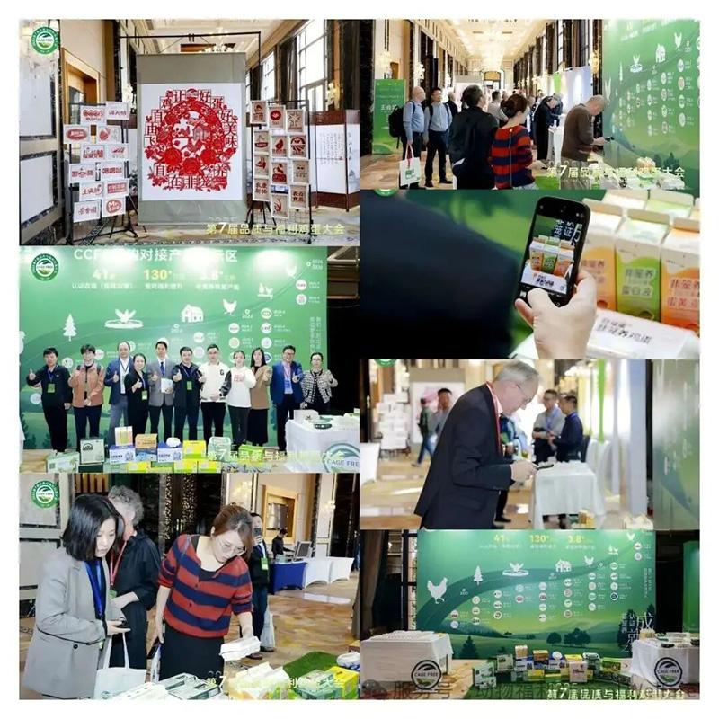 1761276149797532.jpg 147.jpg