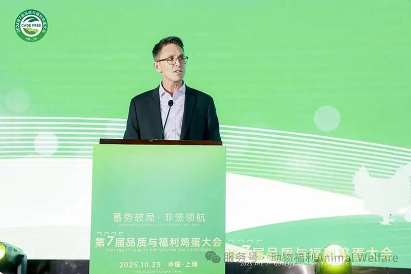 1761276782373079.jpg 62.jpg