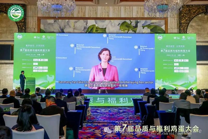 1761277418687714.jpg 73.jpg