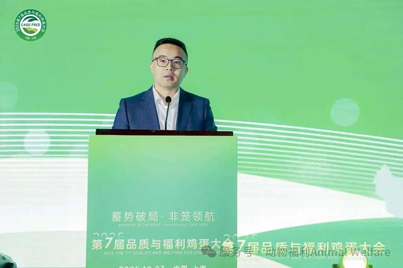 1761277610949342.jpg 67.jpg