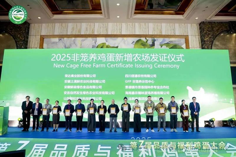 1761277640595447.jpg 75.jpg