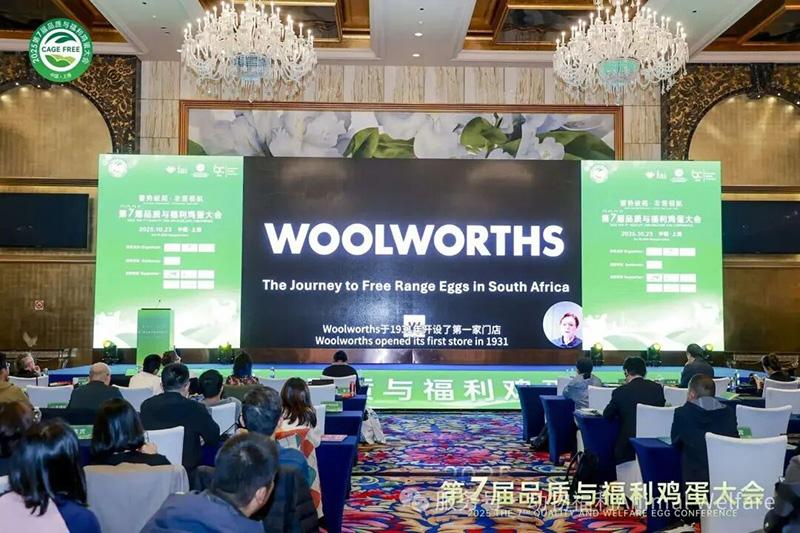 1761279077178755.jpg 115.jpg