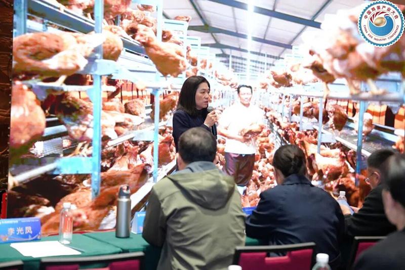 1761803798348894.jpg 24.jpg