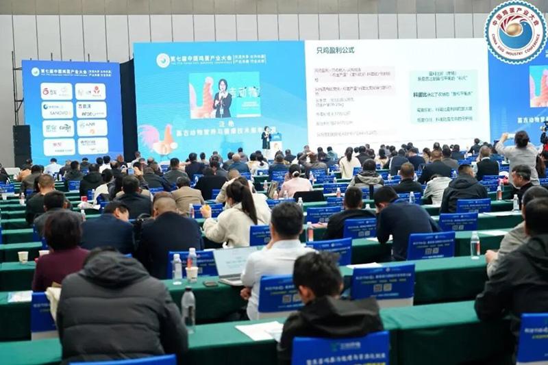 1761803926182889.jpg 16.jpg